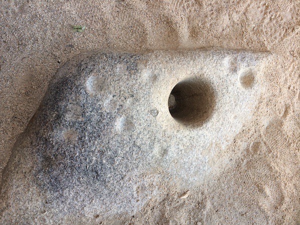 A close up of the cup